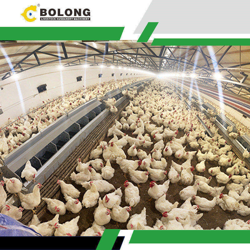 robust construction Egg Retrieval System